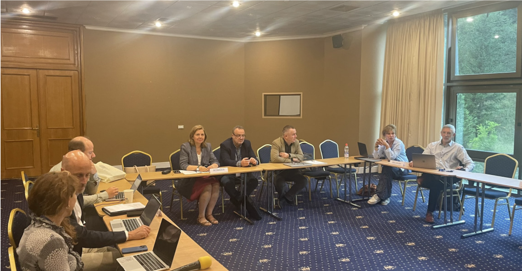 Sesiune plenară CERN Council Retreat